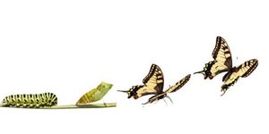 Scopri di più sull'articolo Da oggi questo è un “blog comune”!